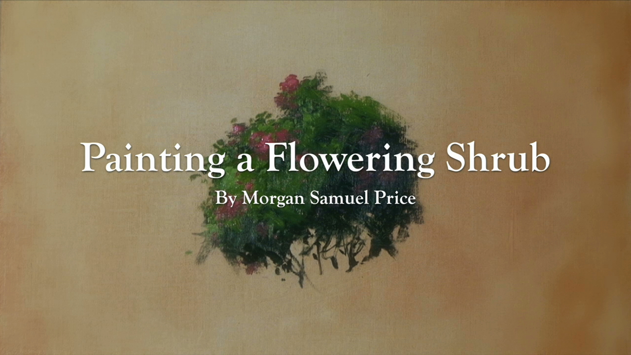 Flowering Shrub